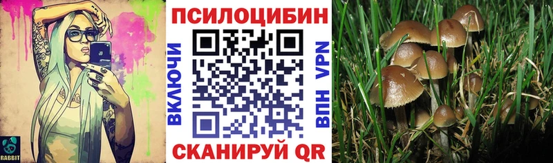 Галлюциногенные грибы мухоморы Борисоглебск